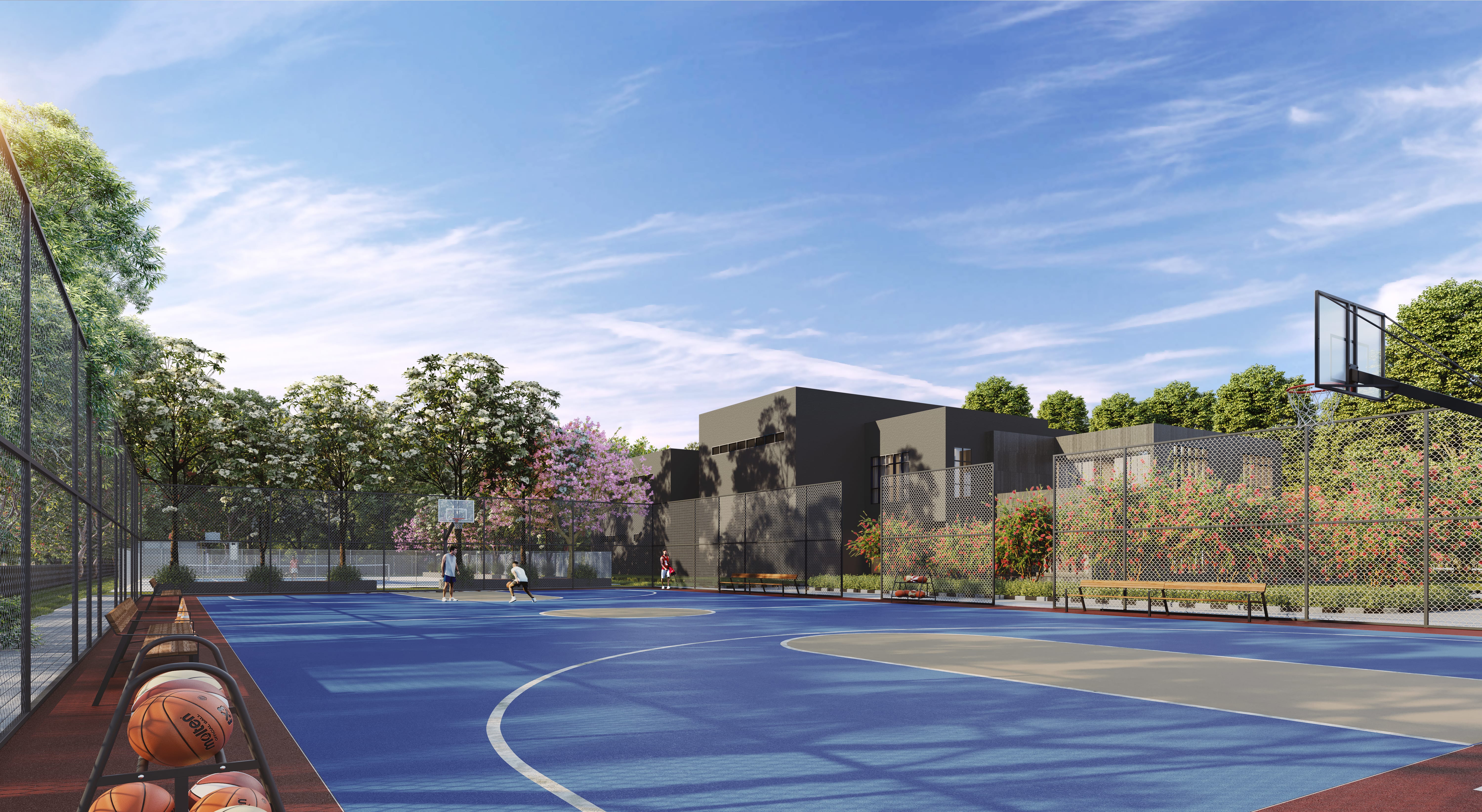 Basketball Court View