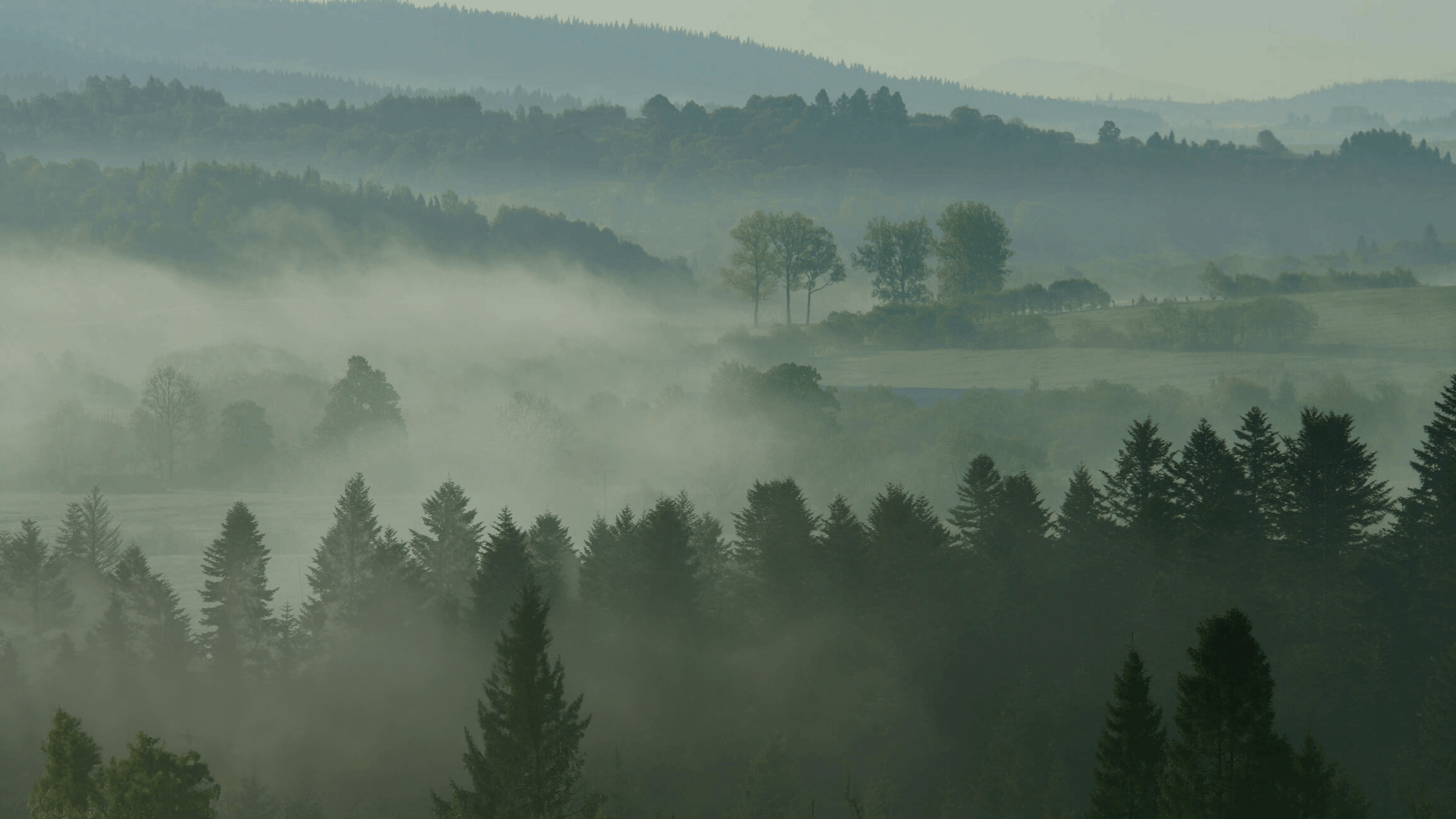 Hero nature background