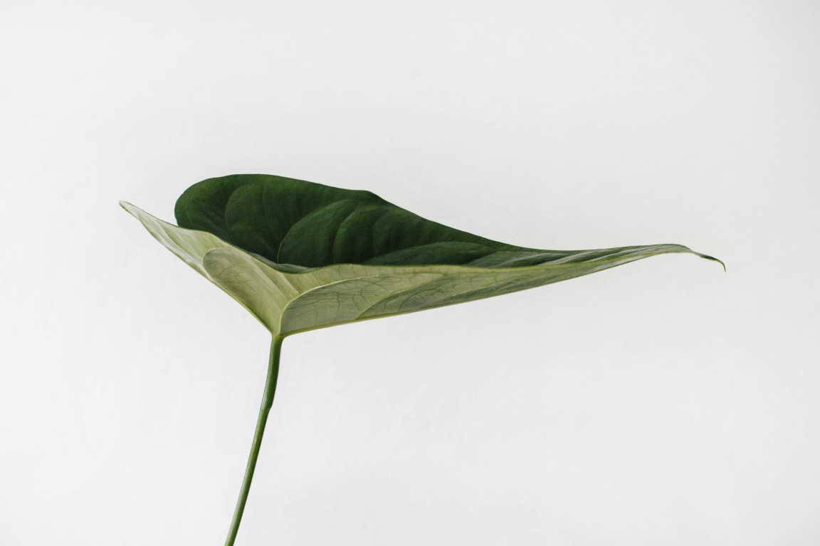Green Features